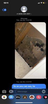 Mold in the ac unit