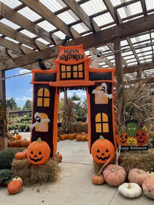 Awesome Halloween displays