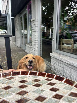 She enjoys the patio!