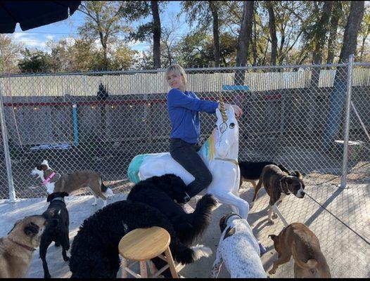 Getting a tour of the backyard and hanging out with the pack!