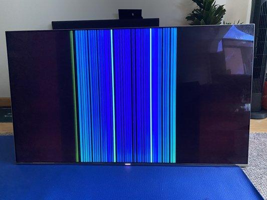 TV with Panel Issue.