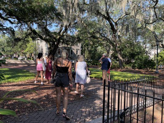 Pups and people walking tour