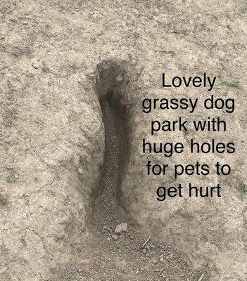 3 foot dangerous holes and no grass in  " Dog park "