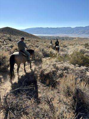 Trail riding