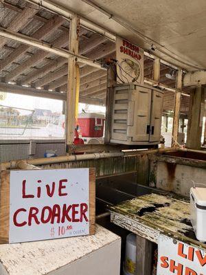 Sea Isle Bait Camp