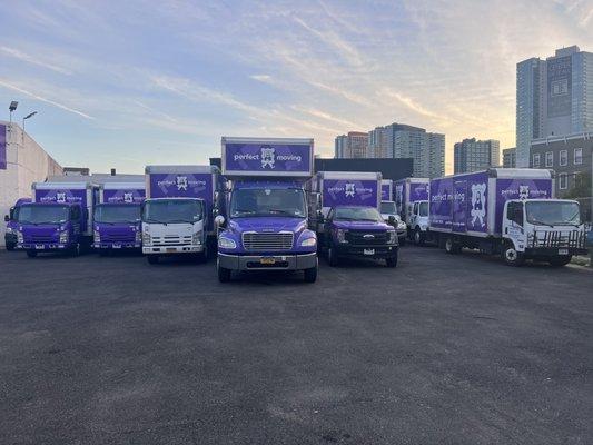 Beautiful fleet ready to work at your call!