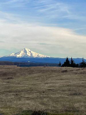 Mt Hood