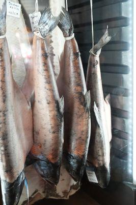 Dry Aging Ora King Salmon