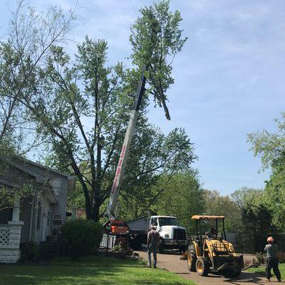 Crane Service for those Large & Hazardous Tree Removals