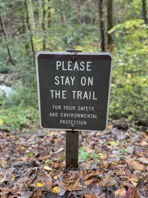 Anna Ruby Falls