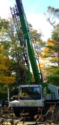 Our crane, which we use to effectively remove large trees.