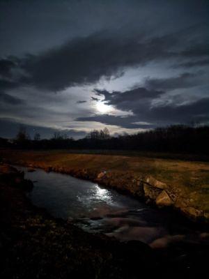 Night view from the back deck