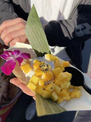 Mango sticky rice