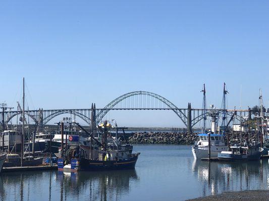 The beautiful Yaquina Bay Bridge