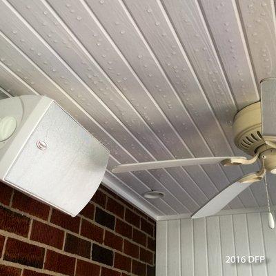 There was an enormous next above that speaker (now gone) - and the fans had a healthy accumulation of gunk.  Ceiling planks are like new.