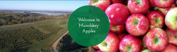 Munchkey Apples