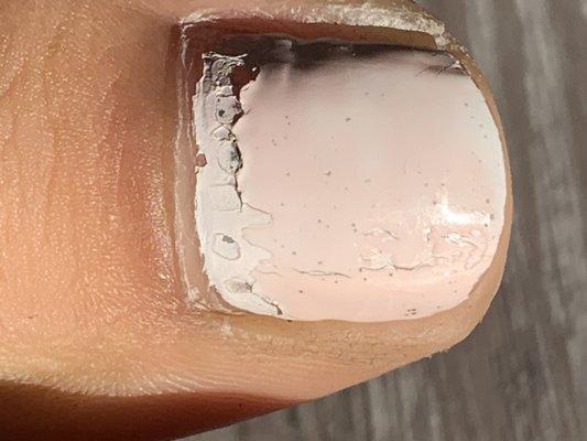 1 week Diamond lined cuticle