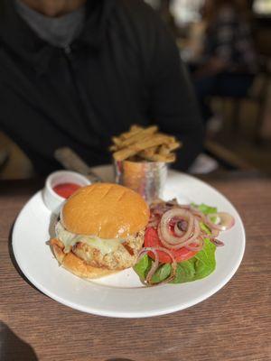 Chicken burger and fries