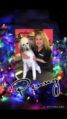 Penny groomed by Gwen