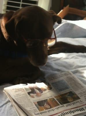 Therapy Dog Lucky Barker Catching Up on the Morning News