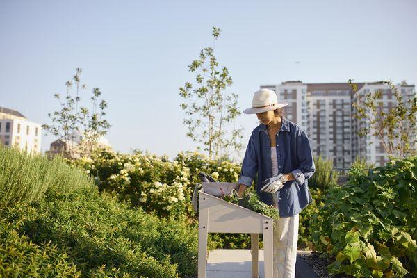 Connect with nature right here in the city