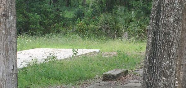 Overgrown grounds