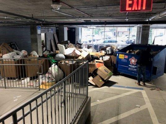 That is a 'homeless' man digging through the dumpster in what is touted as a 'secured parking' amenity you pay $200/month secure safety.