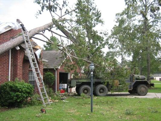 Emergency Tree Removal in Spring, Conroe and The Woodlands