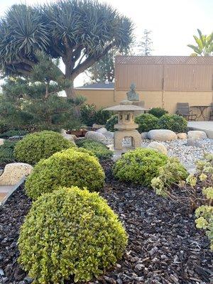 Japanese Garden office