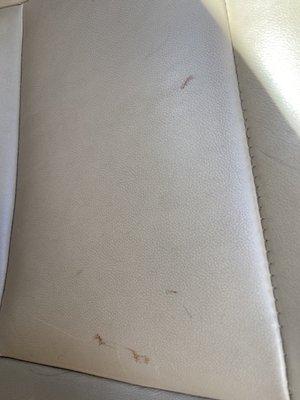 Blood on car seats