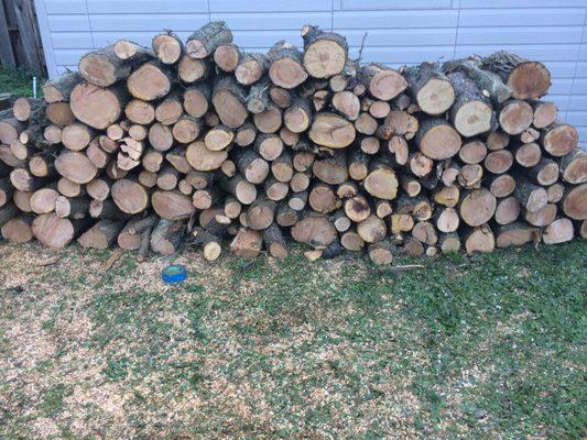 Neatly stacked logs.