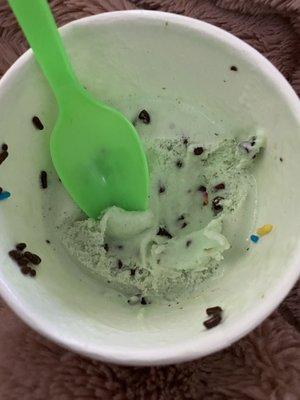 Mint chocolate chip