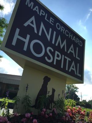 Animal Hospital Maple Orchards sign and flowers.