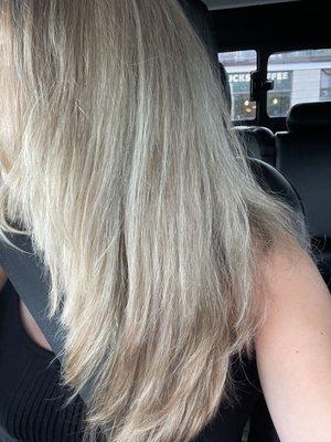 Partial blonde highlights and a trim