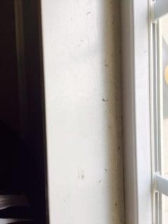 dirty window sill in living room