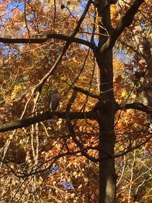 Long Branch Nature Center