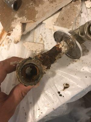 Old galvanized water pipes, what's in your water?