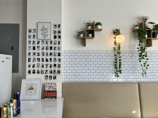 Interior - love their polaroid wall of furry friends!