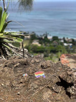 Ehukai Pillbox Hike