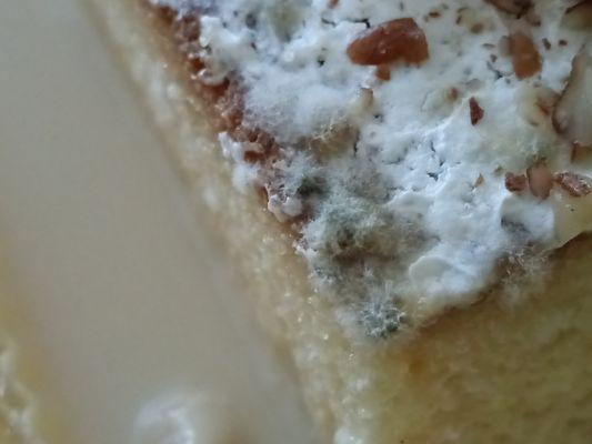 Mold on tres leches cake slice