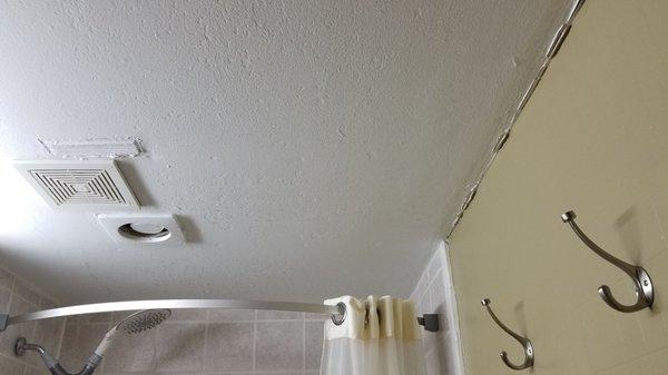 Ceiling damage and peeling paint