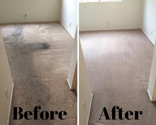 Carpet Cleaning