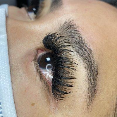 Wet Mega volume lashes