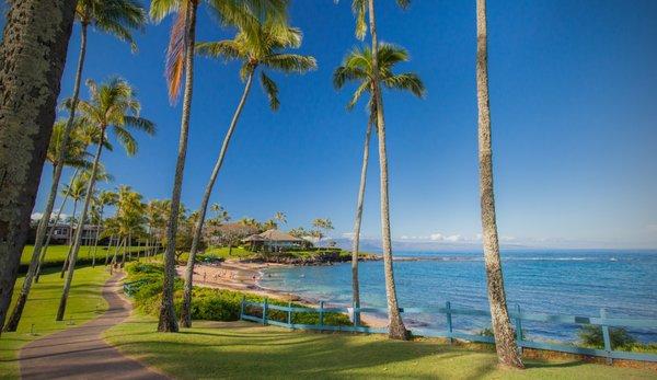 Just a quick walk from Kapalua Bay, named the "Best Beach in the US and World"