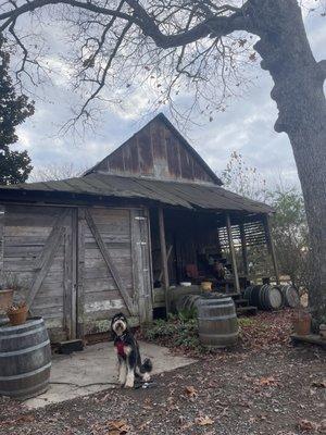 Outside area is very inviting and rustic.