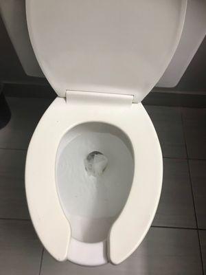 Broken toilet