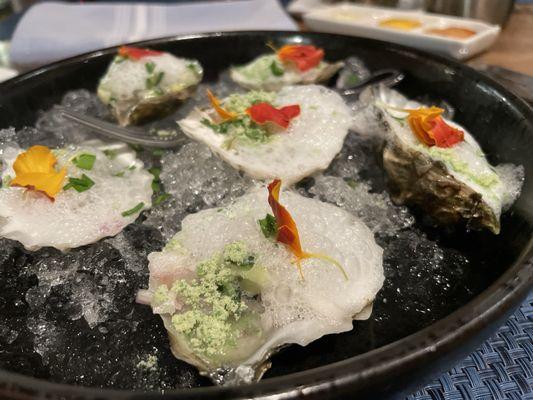 Chilled Gin & Tonic Oysters