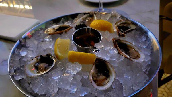 Oysters