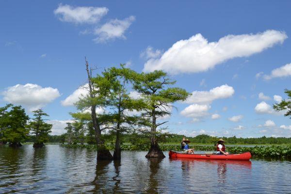 Reelfoot Lake State Park