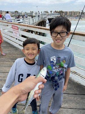 Crystal Pier Bait and Tackle